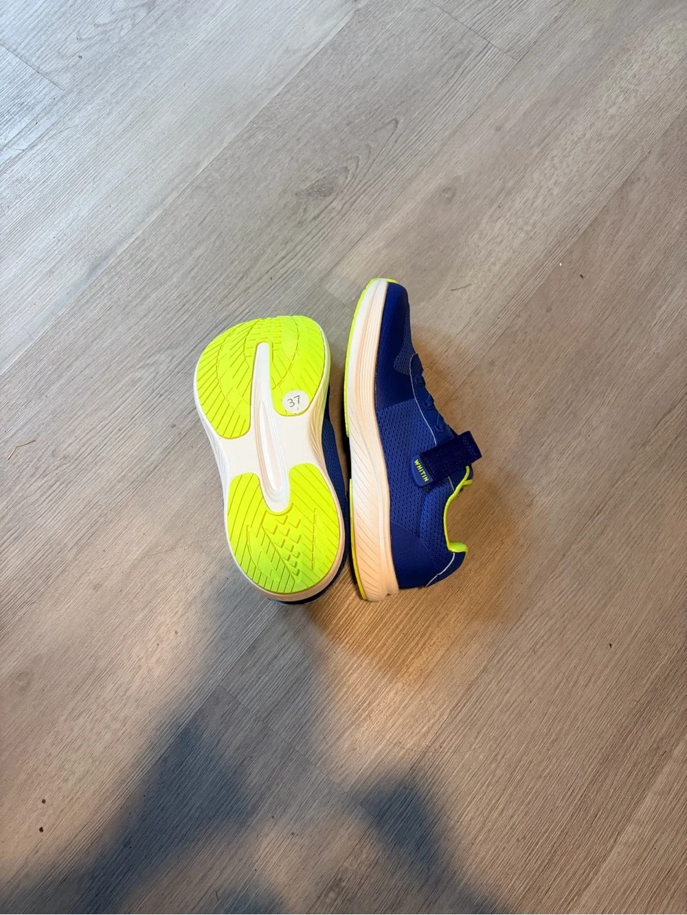 WHITIN Boys Blue Sneakers with Wide Toebox